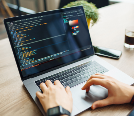 Web development
